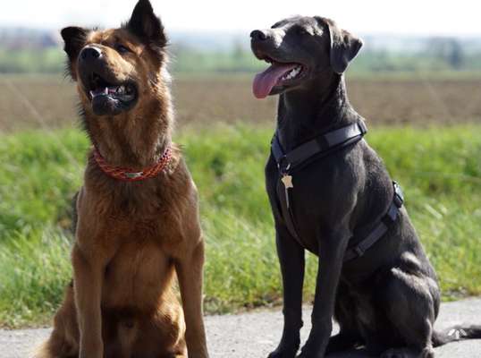 Challenge 30  Freundschaft-Beitrag-Bild