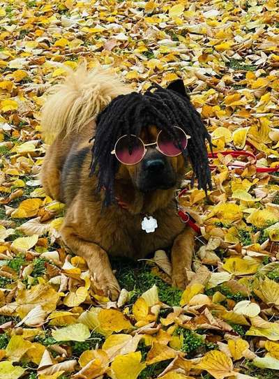 Photoshop und Co.-Beitrag-Bild