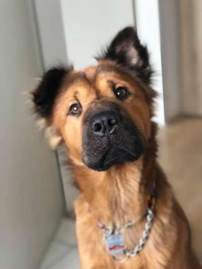 Lieblingsbild :D-Beitrag-Bild