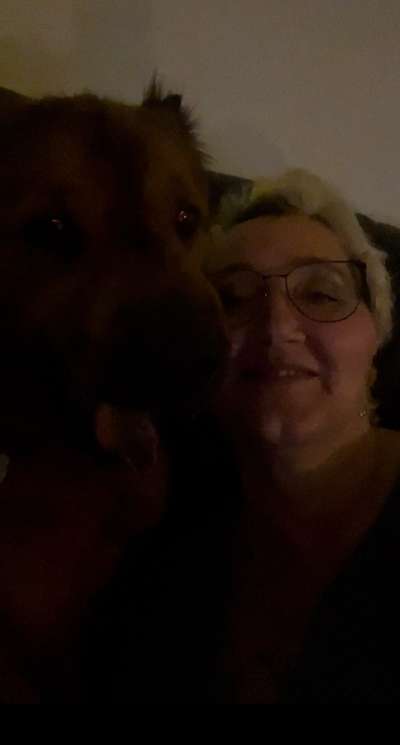 Die lustigsten Selfies mit Deinem Hund !-Beitrag-Bild