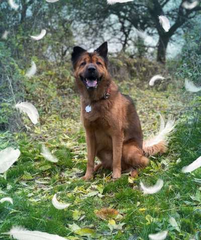 Photoshop und Co.-Beitrag-Bild