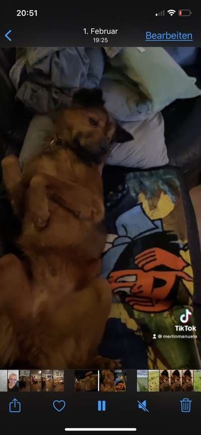 Fotochallenge Nr.65-Beitrag-Bild