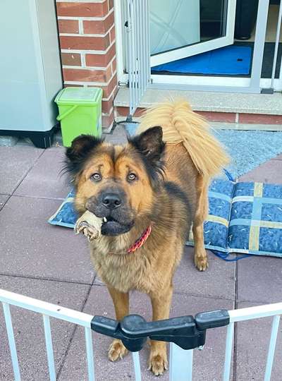 Fotochallenge Nr.105  Glücksmomente-Beitrag-Bild