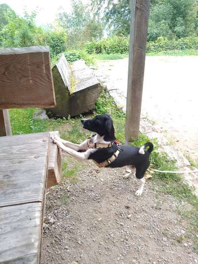 Was hat euch heute gefreut?-Beitrag-Bild