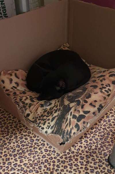 Bindung durch Spielen ohne Spielzeug?-Beitrag-Bild