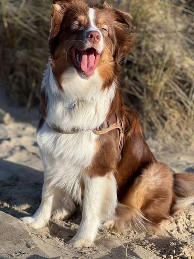 Fotowettbewerb Natur-Beitrag-Bild