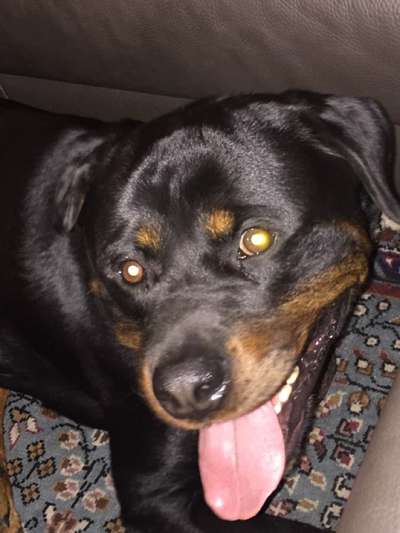 Fotochallange Nr. 57     PORTRÄT.   Beendet!!!!!!!!-Beitrag-Bild