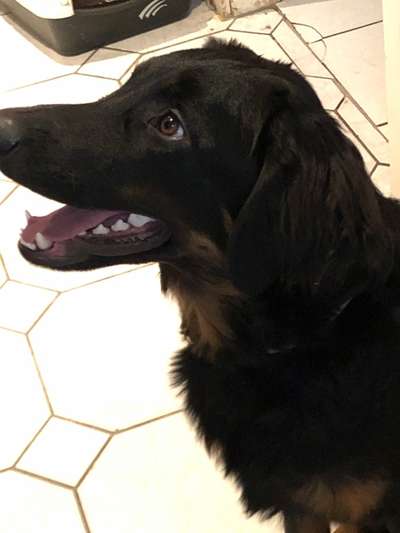 Fotochallange Nr. 57     PORTRÄT.   Beendet!!!!!!!!-Beitrag-Bild