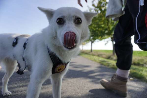 Lustige Grimassen & verrückte Posen-Beitrag-Bild