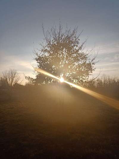 SonnenSTRAHLEN-Beitrag-Bild