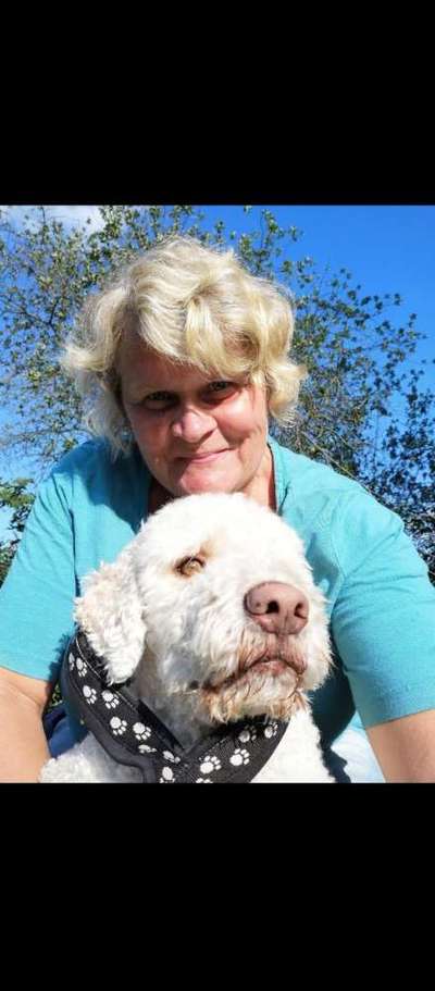 Hunderunde-Beitrag-Bild