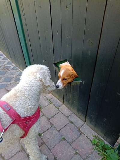 Moviestar-Pics!-Beitrag-Bild