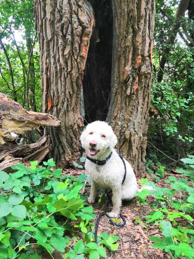 Foto Challenge Nr. 79-Beitrag-Bild