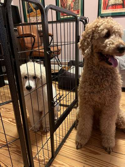 Koffer Packen: Spezial Weihnachtsedition-Beitrag-Bild