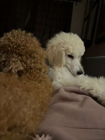 Was hat euch heute genervt?-Beitrag-Bild