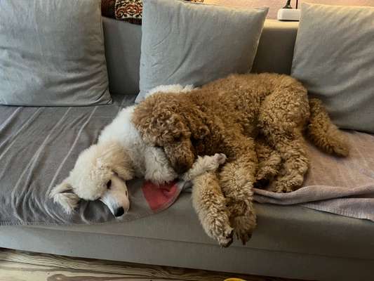 Was hat euch heute genervt?-Beitrag-Bild