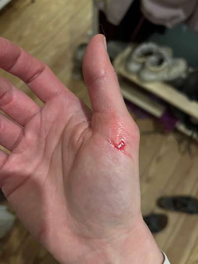 Was hat euch heute genervt?-Beitrag-Bild