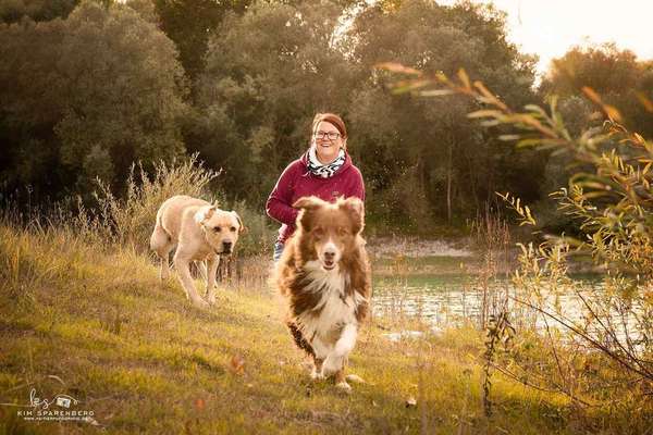 Hundeschulen-Martin Rütter Hundeschule Landsberg am Lech -Bild