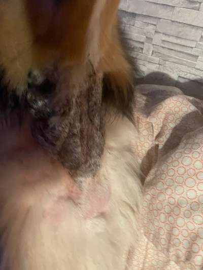 Autos und Fahrradfahrer-Beitrag-Bild