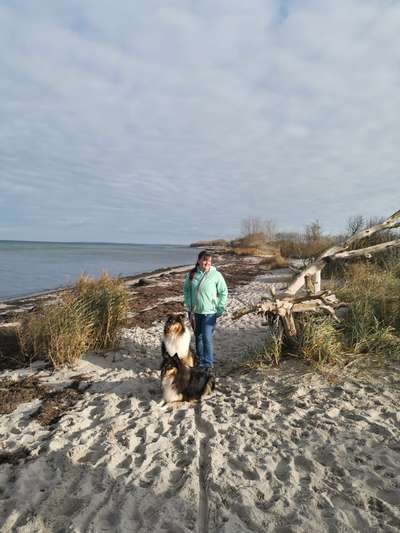 Seltene Rassen!-Beitrag-Bild