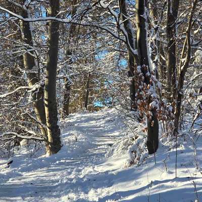 aktuelles Foto Gruppe Wandern und Outdoor