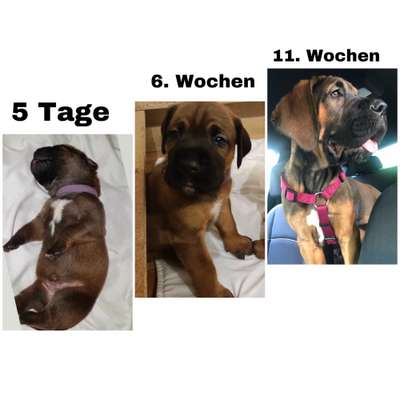 Sie werden so schnell groß!-Beitrag-Bild