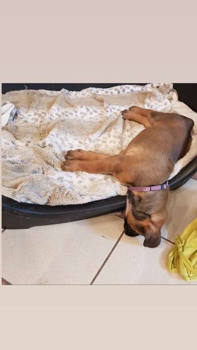 4. Lustiger Schlafplatz-Beitrag-Bild