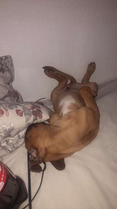 4. Lustiger Schlafplatz-Beitrag-Bild