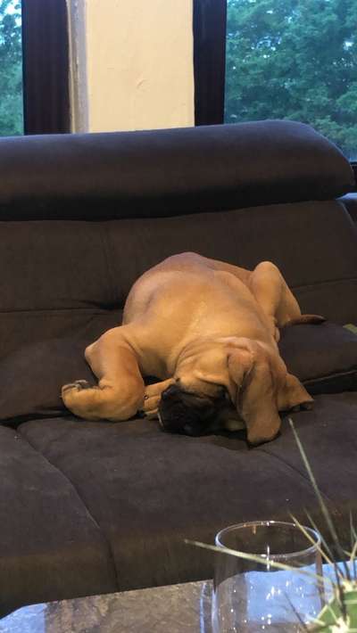 4. Lustiger Schlafplatz-Beitrag-Bild