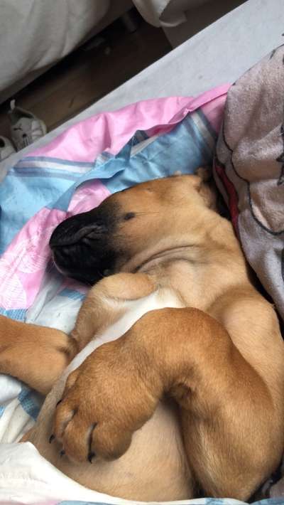 4. Lustiger Schlafplatz-Beitrag-Bild