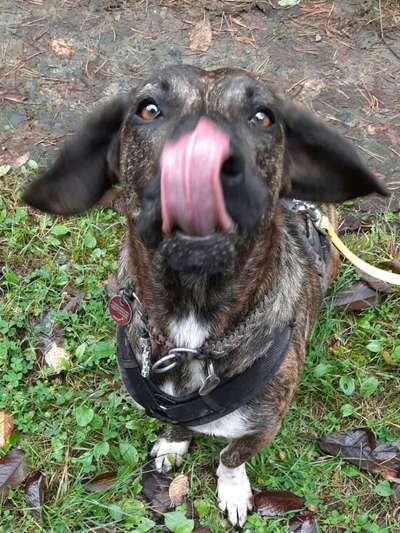 Fotochallenge No. 5-Beitrag-Bild