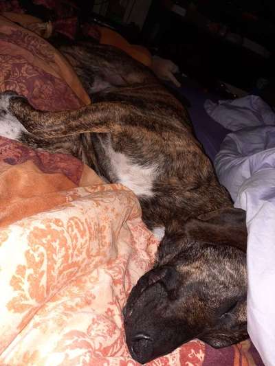 müde der kleine-Beitrag-Bild