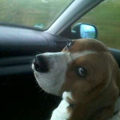 Lieblingsbild :D-Beitrag-Bild