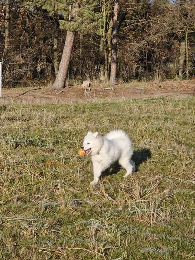 Das beste grinsefoto-Beitrag-Bild
