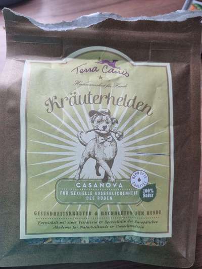 Samojede-Beitrag-Bild