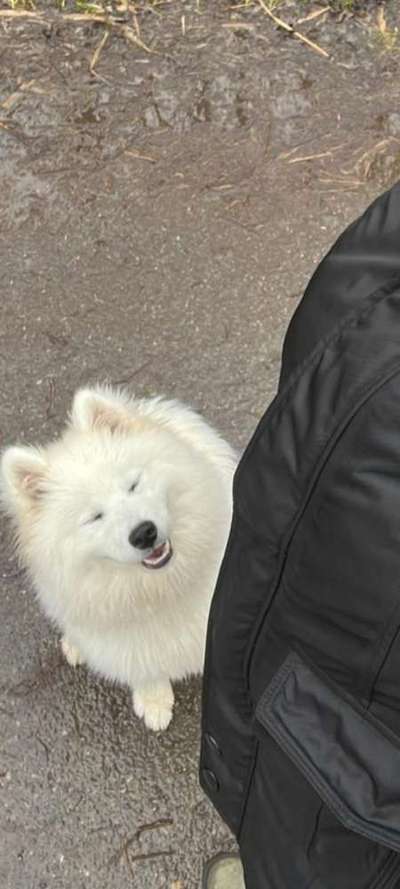 Fotochallenge Nr.122-Beitrag-Bild