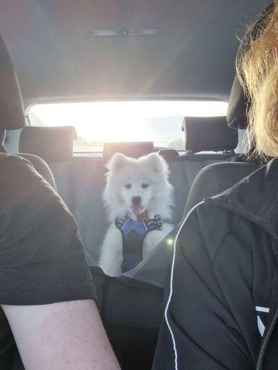 117. Fotochallenge-Beitrag-Bild