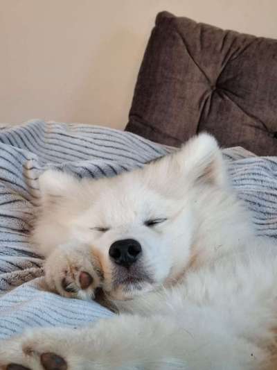 Foto Challenge Nr. 134-Beitrag-Bild