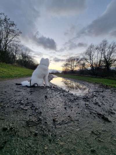 118. Fotochallange-Beitrag-Bild