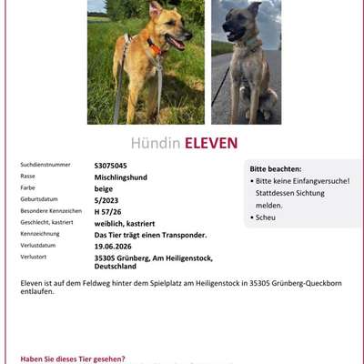 Suchmeldung-Eleven-Bild