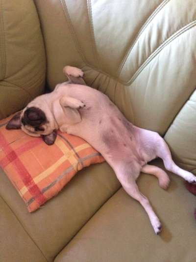 Fotochallenge Nr.65-Beitrag-Bild