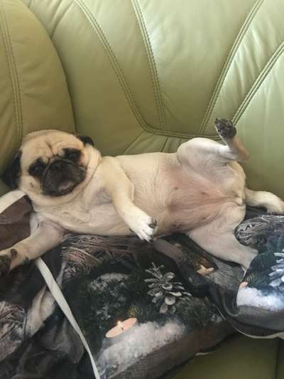 Fotochallenge Nr.65-Beitrag-Bild