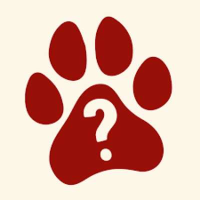Hundeschulen-Hundeschule hundefragen-Bild