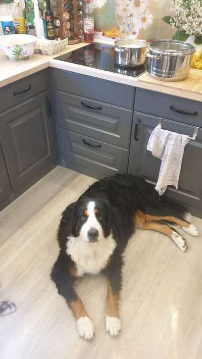 Handy-Foto Challange Nr. 12-Beitrag-Bild