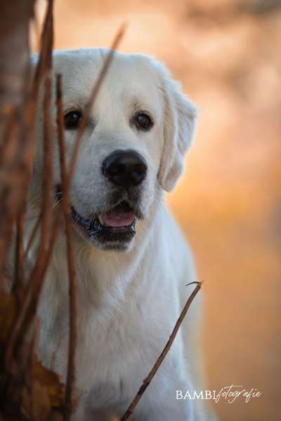 Fotochallange Nr. 57     PORTRÄT.   Beendet!!!!!!!!-Beitrag-Bild