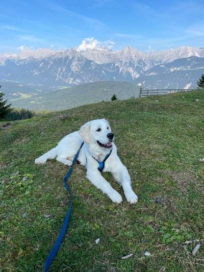 Fotochallenge Nr 107-Beitrag-Bild