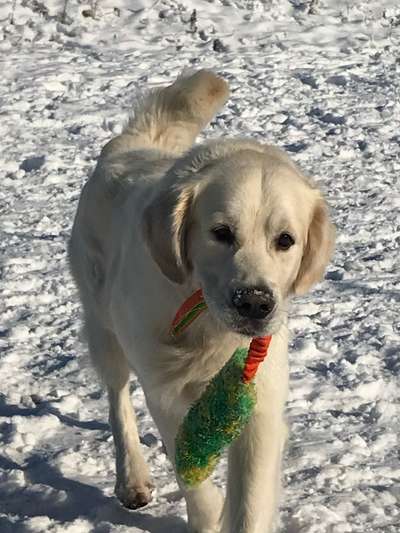 Ist das ein...?-Beitrag-Bild