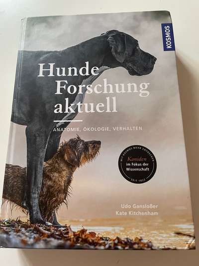 Diebische Elster...Essen klauen....wie damit umgehen?-Beitrag-Bild