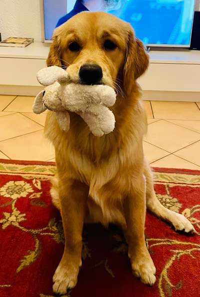 19. Handy - Foto - Challenge-Beitrag-Bild