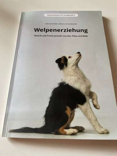 Die dunkle Seite einen Hund zu haben-Beitrag-Bild